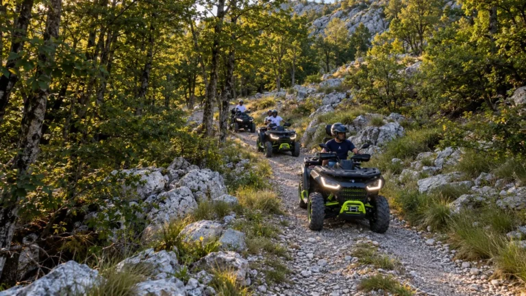 Lovćen Forest Off-Road Trail