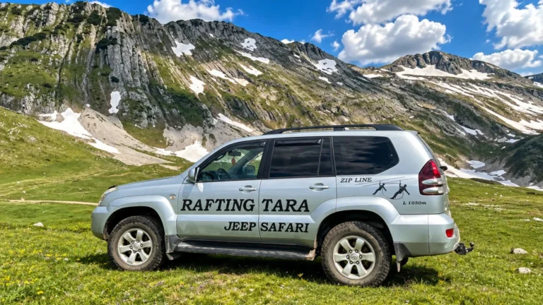 Tara Bridge Jeep Safari